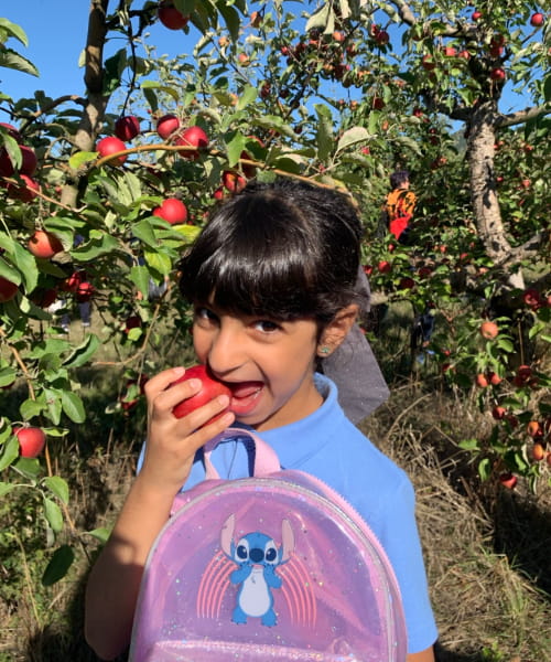 Year 2 Enjoys Apples, Animals, and Adventure - Carousel For News Detail