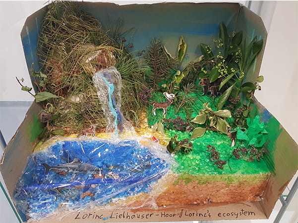 Animals Classification and Habitats - Animals Classification and Habitats