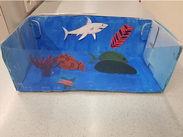 Animals Classification and Habitats - Carousel For News Detail