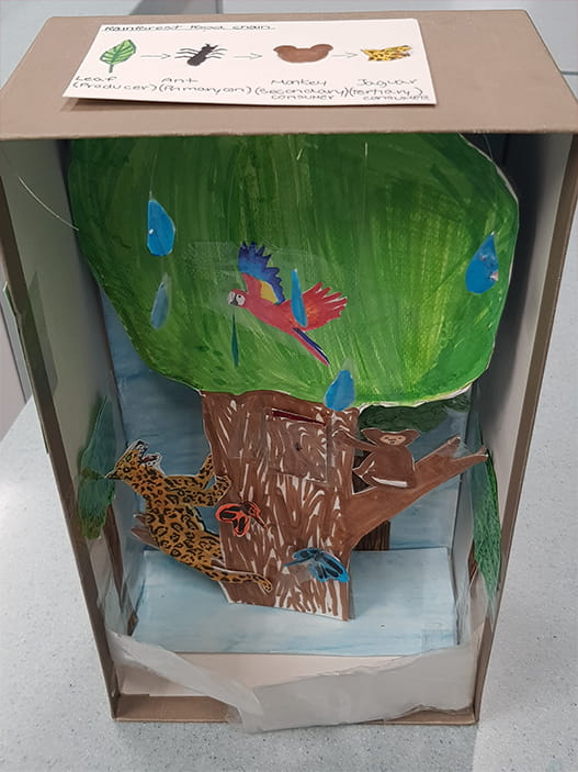 Animals Classification and Habitats - Carousel For News Detail