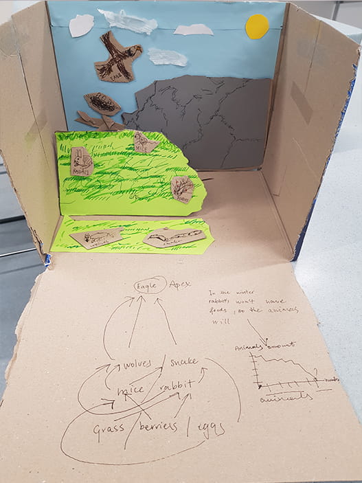 Animals Classification and Habitats - Carousel For News Detail