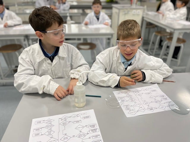 Science lab Year 3 Marigold - Carousel For News Detail