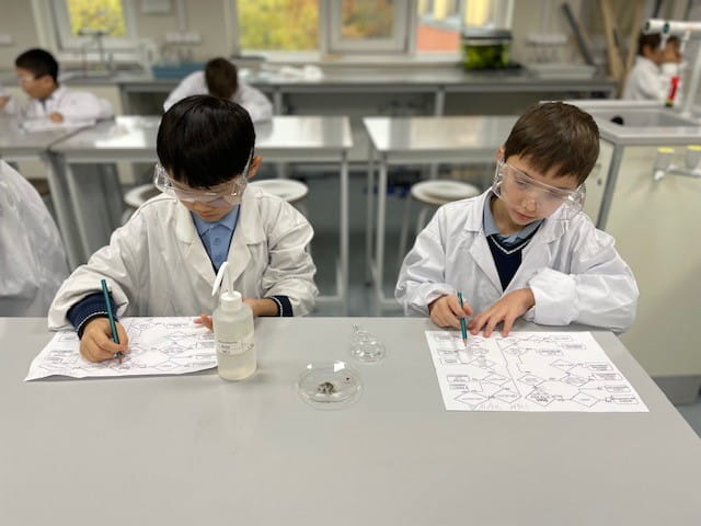 Science lab Year 3 Marigold - Carousel For News Detail