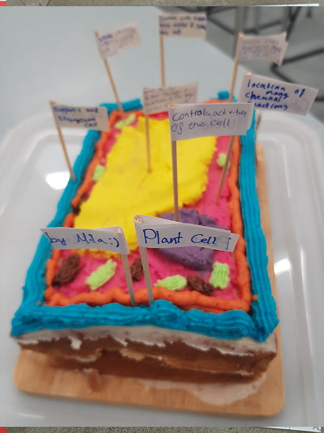 Year 7 studying about cells - Carousel For News Detail