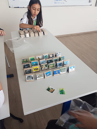 Dichotomous keys what does that mean - Carousel For News Detail