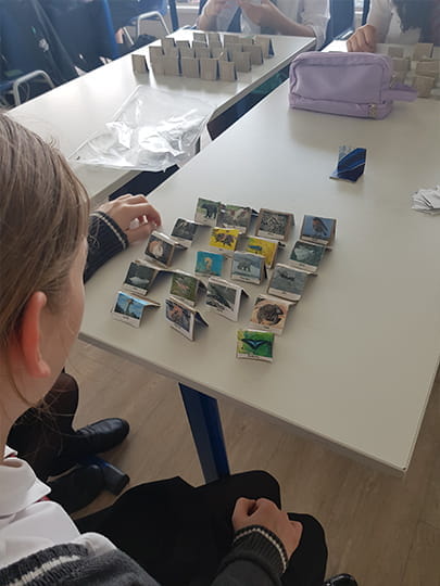 Dichotomous keys what does that mean - Carousel For News Detail