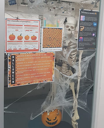 Halloween Fun - Carousel For News Detail