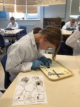 Eye dissection - Carousel For News Detail