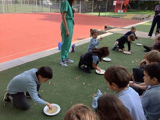 Year 2 Staying Healthy - Carousel For News Detail