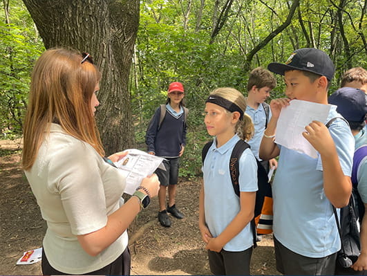 Year 6 Migration Entry Point Activity - Carousel For News Detail