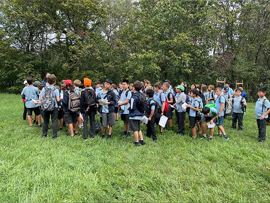 Year 6 Migration Entry Point Activity - Carousel For News Detail