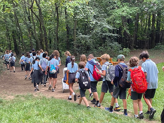 Year 6 Migration Entry Point Activity - Carousel For News Detail