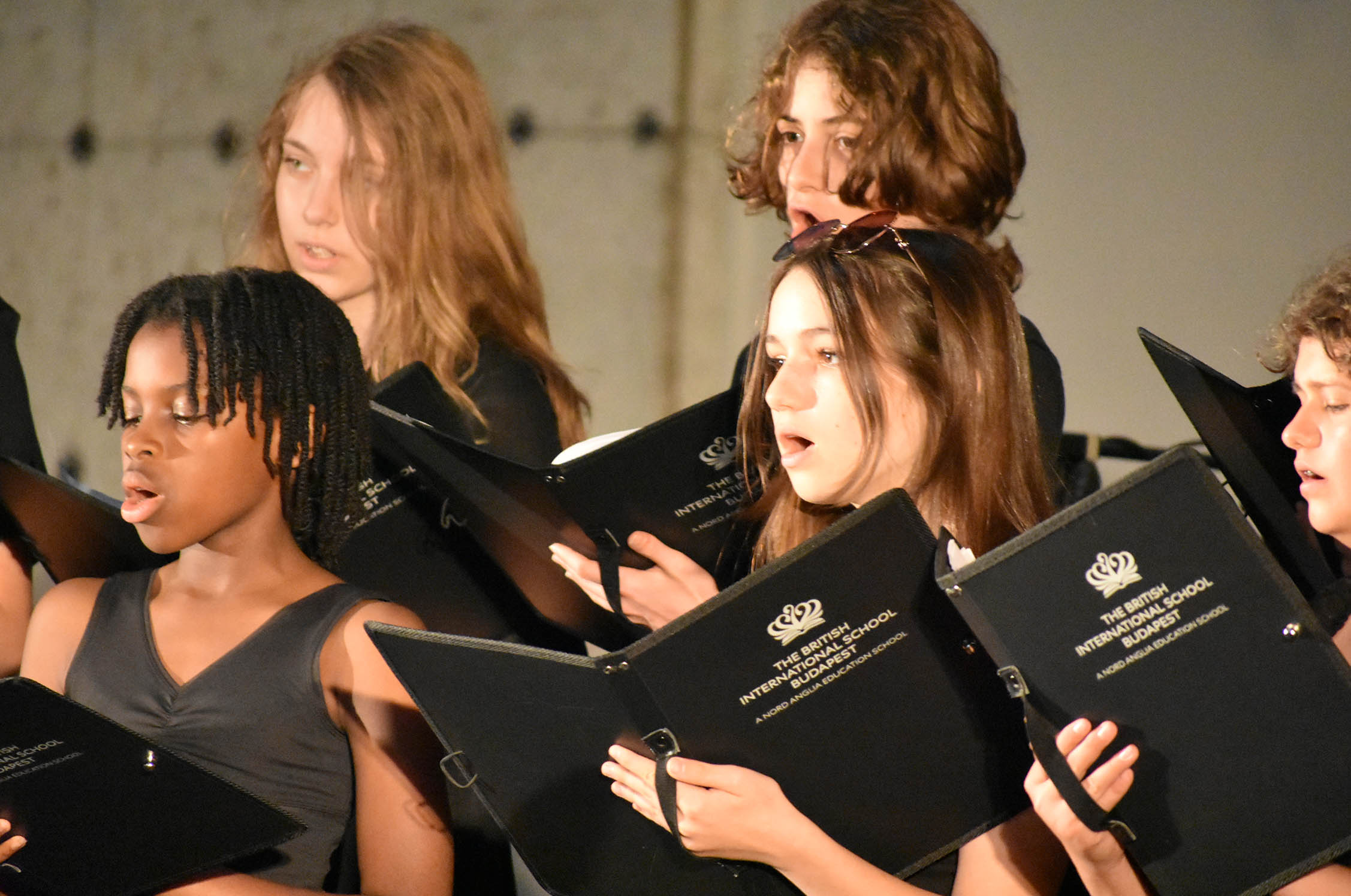 Performing Arts Showcase - Carousel For News Detail