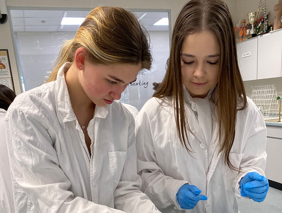 Year 12 heart dissection