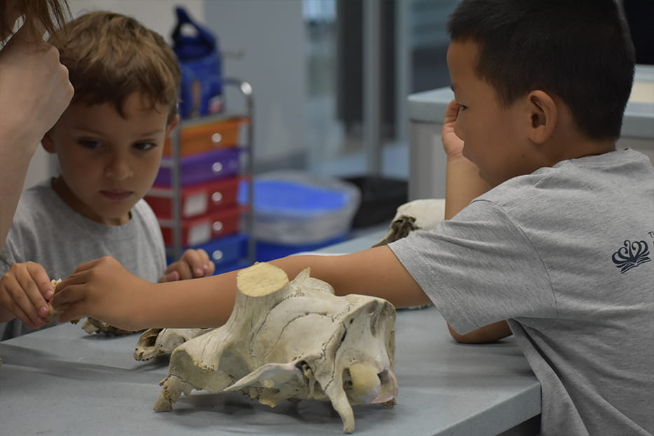 Year 1 visit to the Science Lab