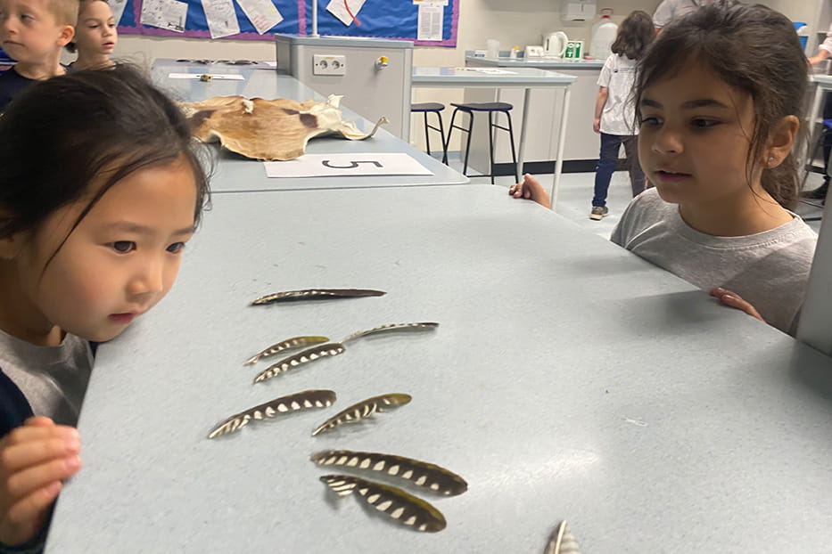 Year 1 visit to the Science Lab - Carousel For News Detail