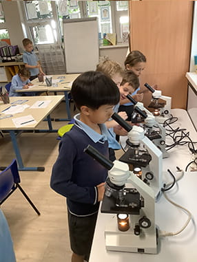 Staying Healthy - Carousel For News Detail