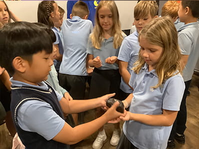 Year 5 Trip - Carousel For News Detail