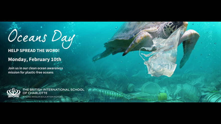 Website Hero Oceans Day