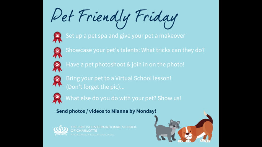This Week: 'Pet-Friendly' Friday Fun Day!-this-week-pet-friendly-friday-fun-day-Pet Friendly Friday BLOG IMAGE