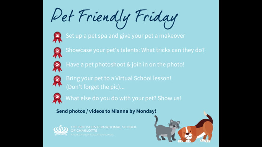 Pet Friendly Friday PAGE LINK IMAGE