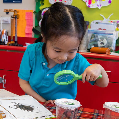 BISC Lincoln Park Pre-nursery curriculum student