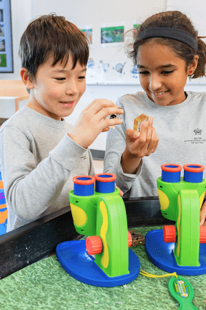 Summer Camps & Programs in Chicago | BISC Lincoln Park - Feature Cards Pattern