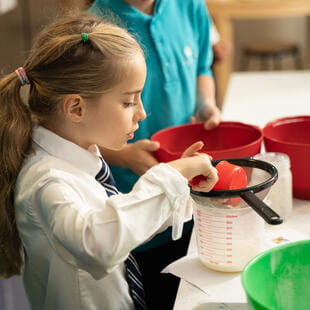 BISC_Chicago_Lincoln Park_2019_028