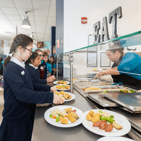 Parent Essentials | BISC Lincoln Park - 04 Feature Cards