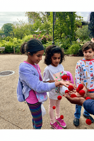 The great outdoors - The great outdoors