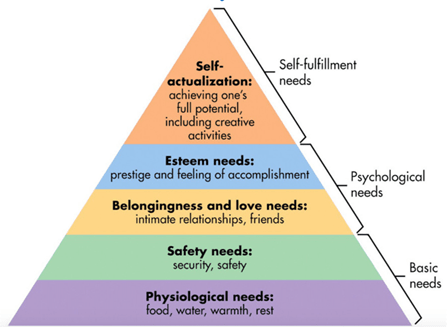 Designing Inclusion for Belonging - Designing Inclusion for Belonging