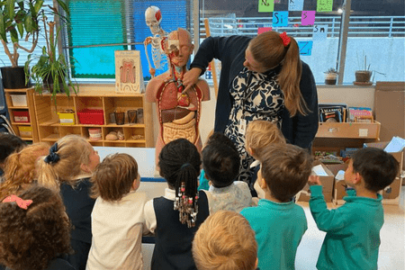 Science Beyond the Classroom: How Parents Can Spark Curiosity Through Everyday Experiments - Science beyond the classroom