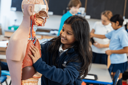 Excelling Beyond Grades - Excelling Beyond Grades