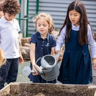 BISC Lincoln Park | Nord Anglia Education - Feature Cards Pattern