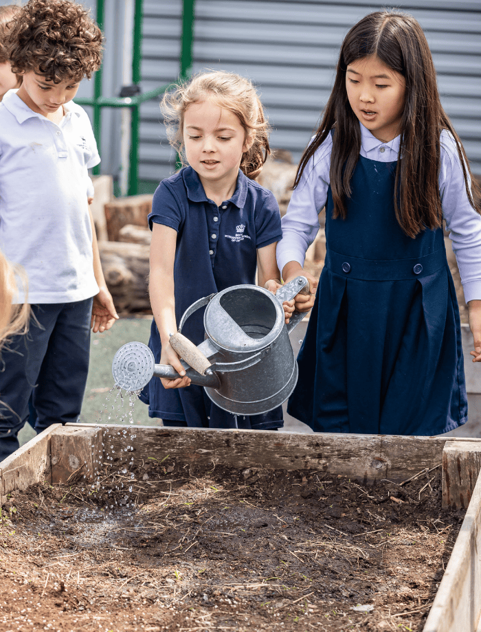 Our Social Purpose | BISC Lincoln Park - Image-50-50 1