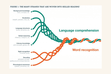 The Science of Early Reading - The Science of Early Reading