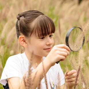 ISR_Monterrey_2019_457