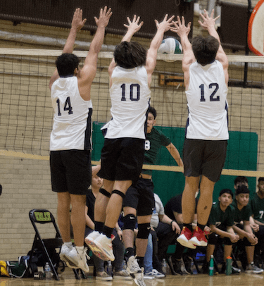 Outstanding Experiences | BIS Chicago, South Loop | Nord Anglia - 04 - Feature Cards Pattern