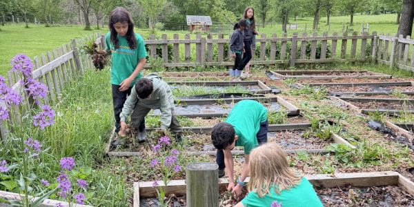 Three Days on the Farm: Year 3 & 4 Farm Trip Diary - Three Days on the Farm Year 3 and 4 Farm Trip Diary