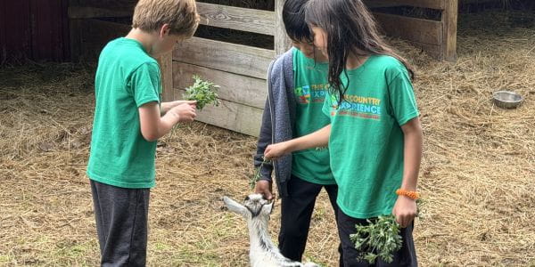 Three Days on the Farm: Year 3 & 4 Farm Trip Diary - Three Days on the Farm Year 3 and 4 Farm Trip Diary