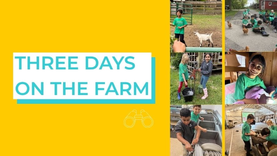 Three Days on the Farm: Year 3 & 4 Farm Trip Diary - Three Days on the Farm Year 3 and 4 Farm Trip Diary