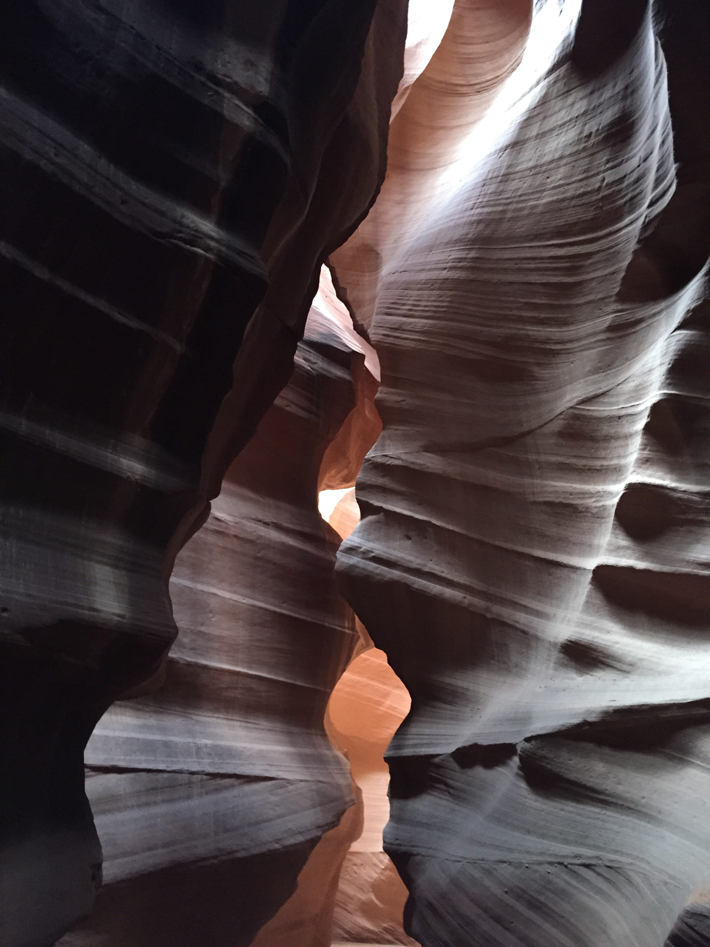 Beautiful! Student Entries for Photography Competition - beautiful-student-entries-for-photography-competition