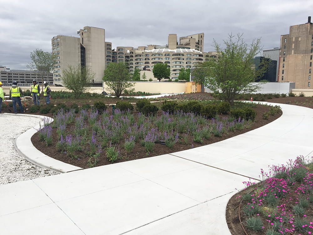 Construction Update - May 27, 2015 - construction-update--may-27-2015