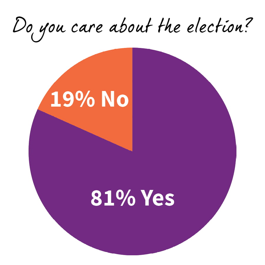Do you care about the election_2