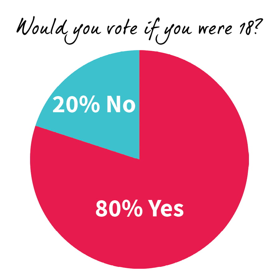 Would you vote if you were 18_2