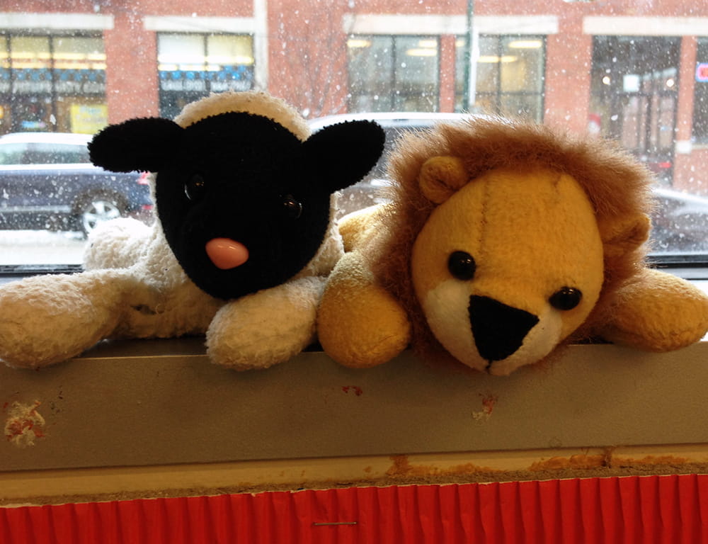 Nursery & Reception - 3/23/15 - nursery-and-reception--3-23-15