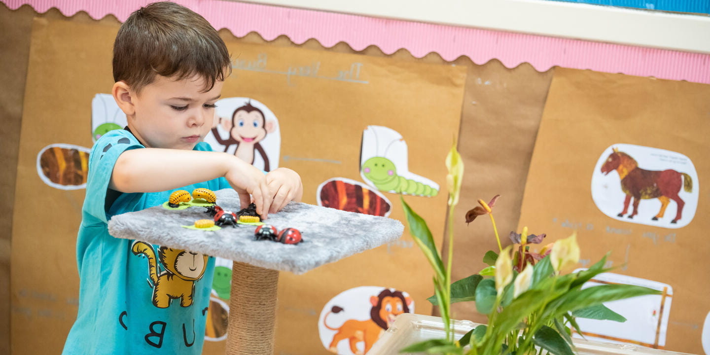 办学特色与学术优势 | 上海英国学校浦西校区 - Key Fact Tiles