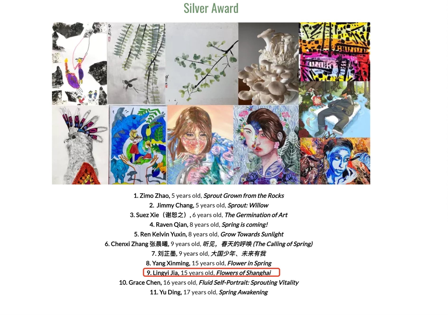 AmCham Shanghai Art & Culture Award Winner - AmCham Shanghai Art and Culture Award Winner