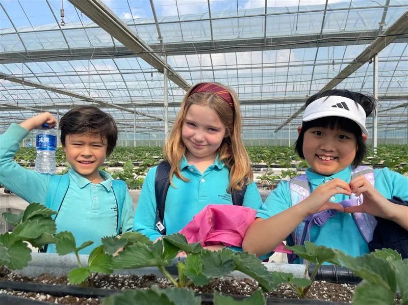 Why mastering English early matters - and how the right support speeds progress - Why mastering English early matters