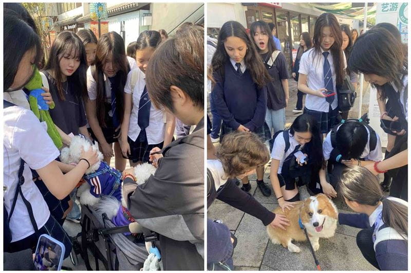 Primary Observational Drawing at Panlong Tiandi - Primary Observational Drawing at Panlong Tiandi